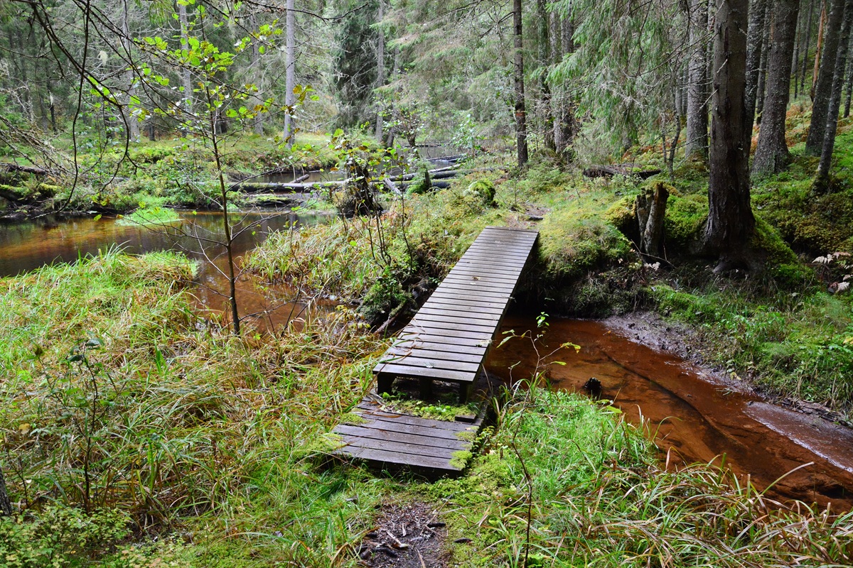 Quellbäche mit Treibsand
